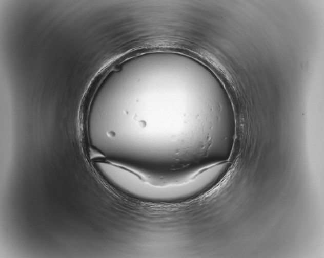 X0000093490981200711020948