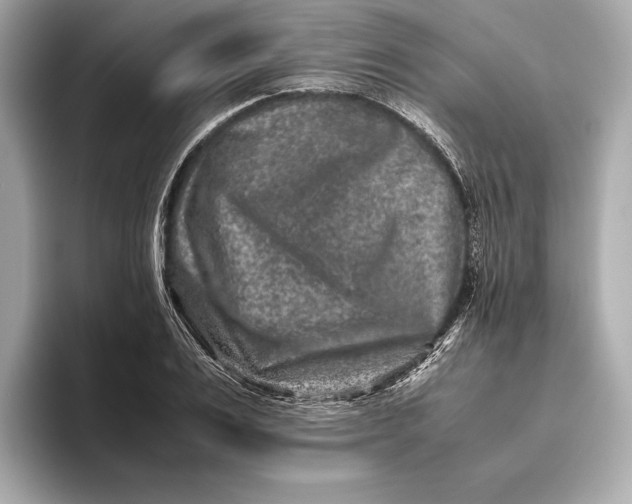 X0000093490983200711020948