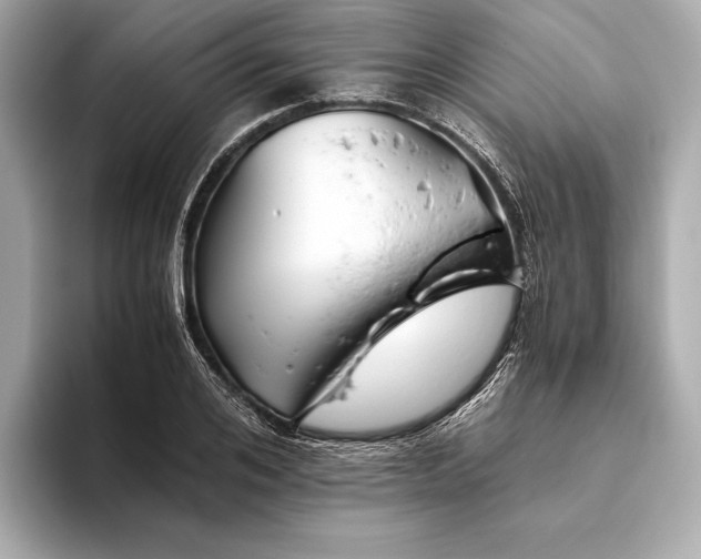 X0000093490984200711020948