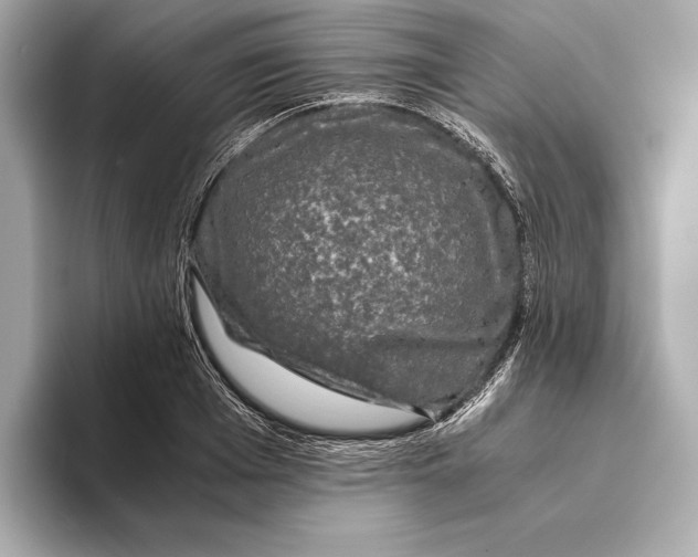 X0000093490985200711020948