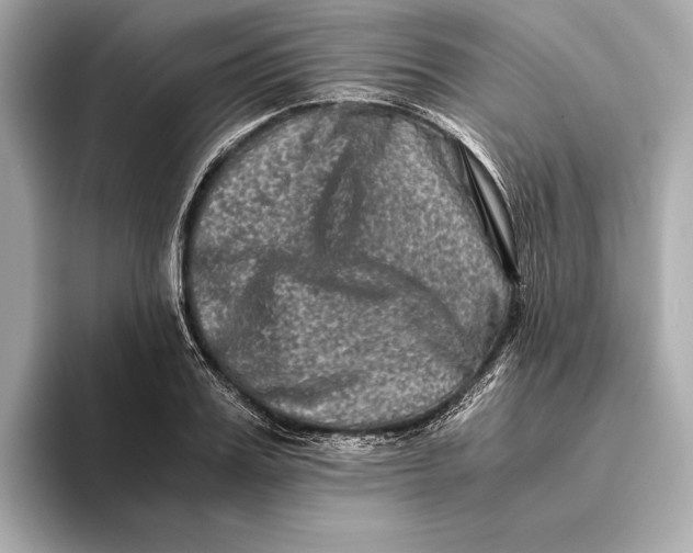 X0000093490987200711020948