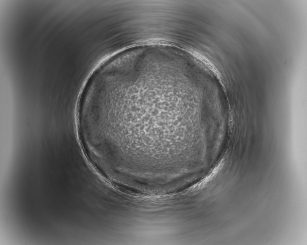 X0000093490989200711020948