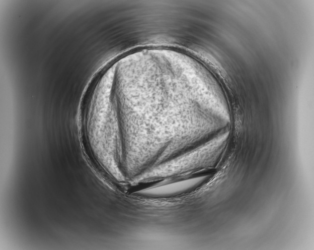 X0000093490990200711020948