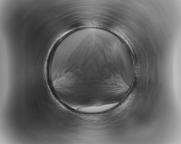 X0000093490995200711020948