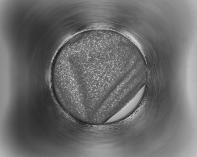 X0000093490997200711020948