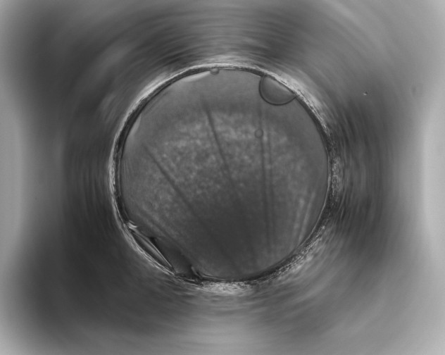 X0000093490998200711020948