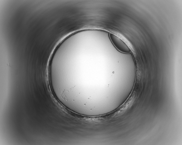 X0000093491004200711020948