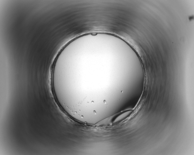 X0000093491006200711020948