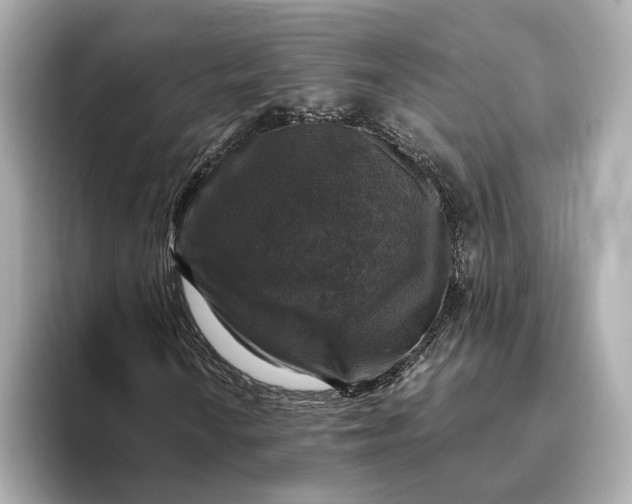 X0000093491010200711020947