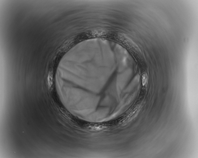 X0000093491011200711020947