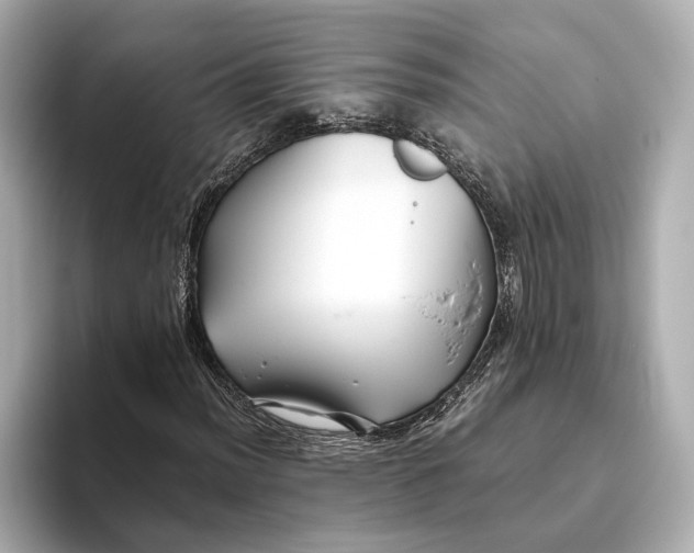 X0000093491012200711020947