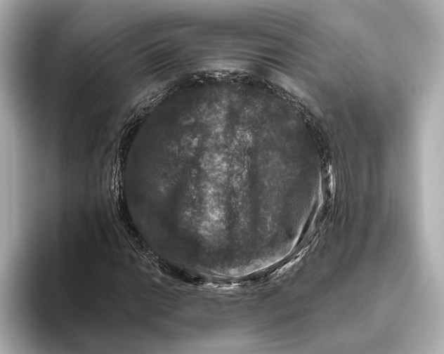 X0000093491014200711020947