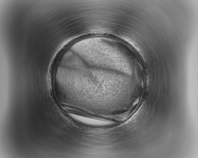 X0000093491022200711020947