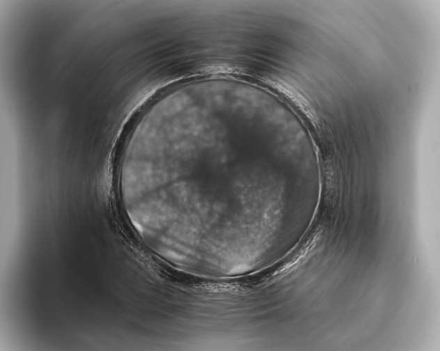 X0000093491023200711020947