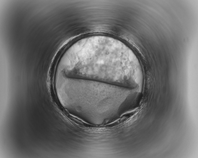 X0000093491024200711020947