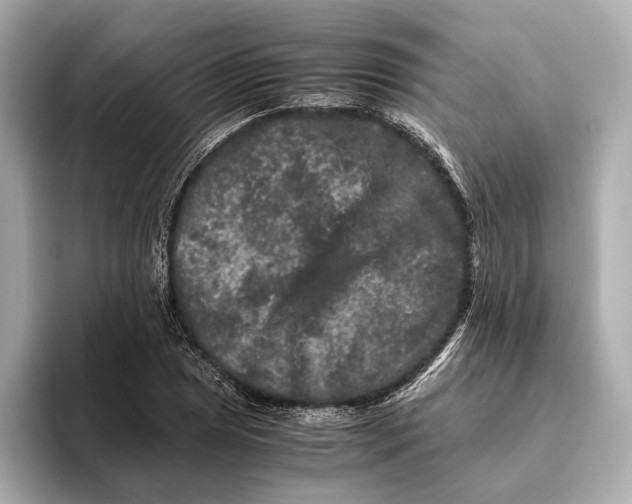 X0000093491025200711020947