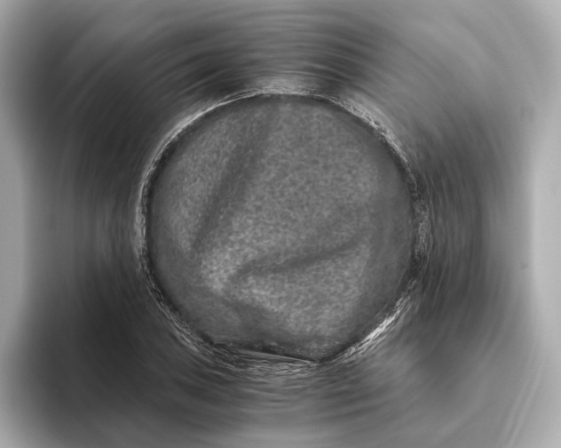 X0000093491027200711020947