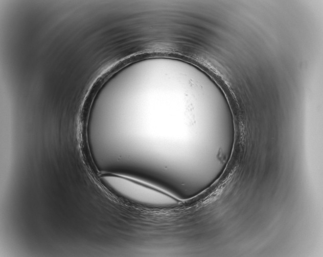 X0000093491029200711020947