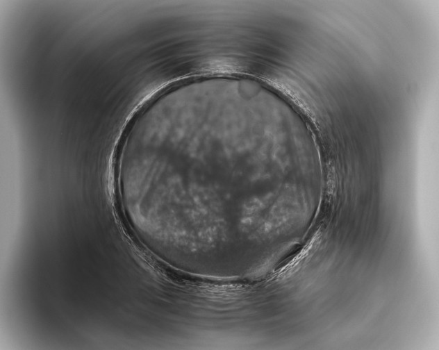 X0000093491031200711020948