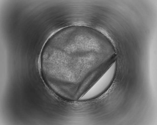 X0000093491032200711020948