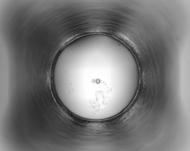 X0000093491033200711020948