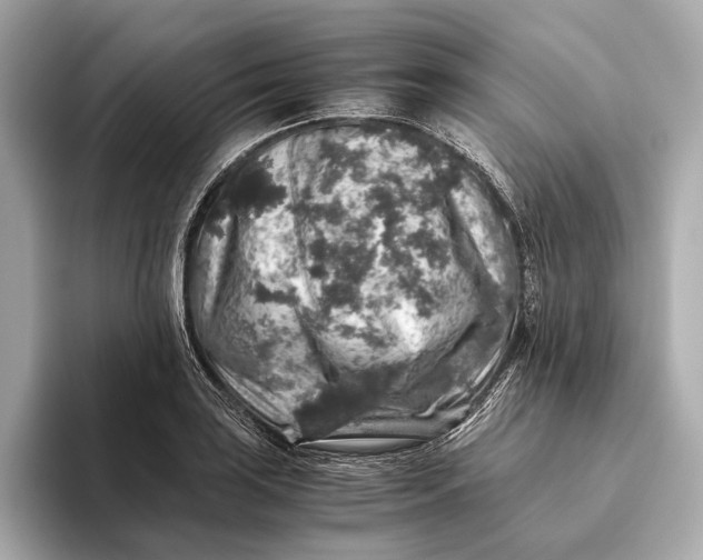 X0000093491035200711020948