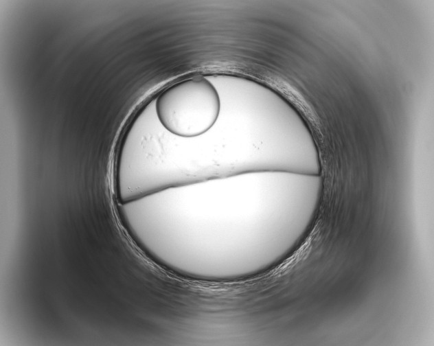 X0000093491036200711020948