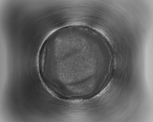 X0000093491038200711020948