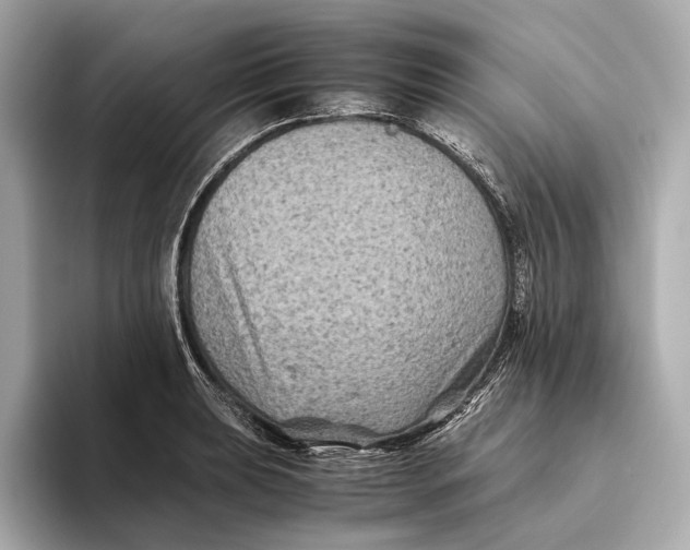 X0000093491039200711020948