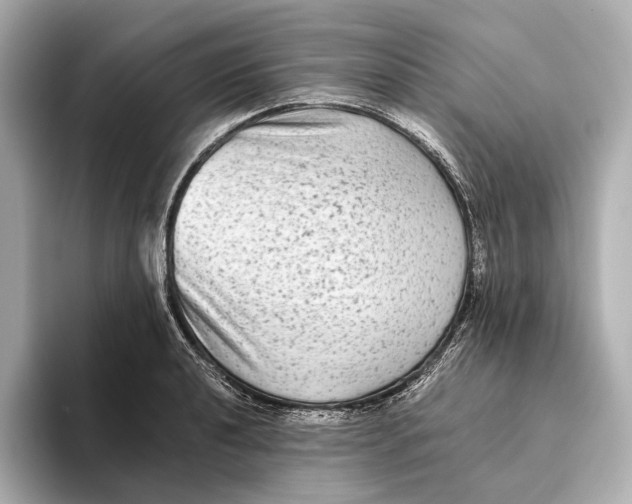 X0000093491040200711020948