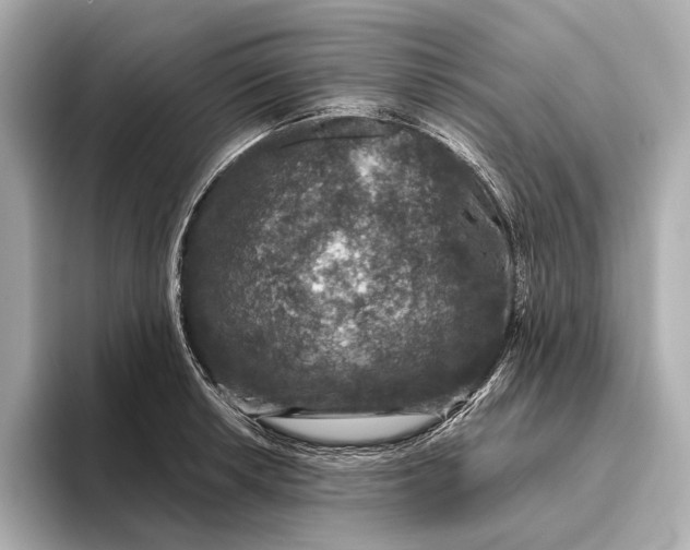 X0000093491042200711020948