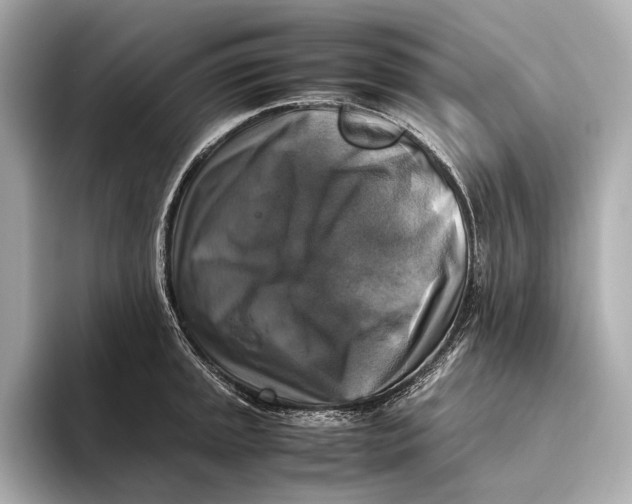 X0000093491045200711020948