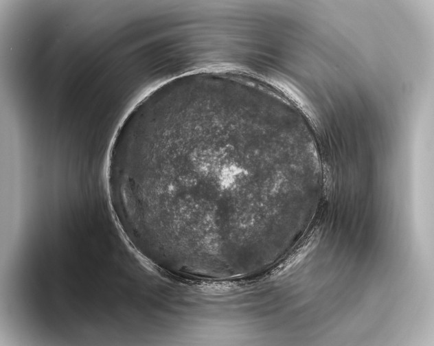 X0000093491046200711020948