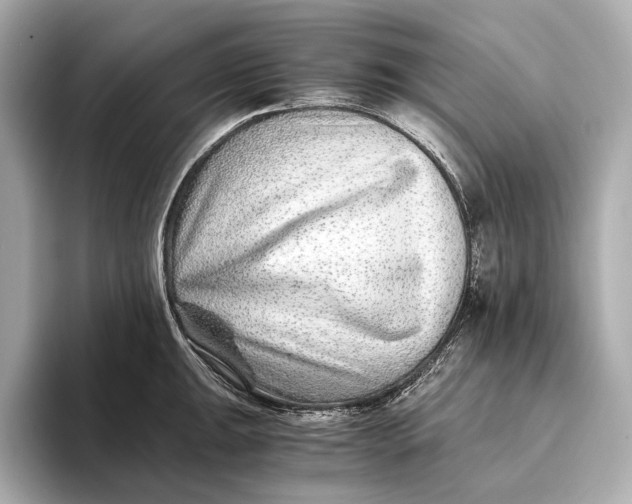 X0000093491047200711020948