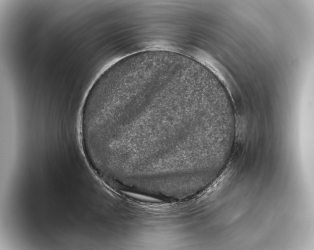 X0000093491048200711020948