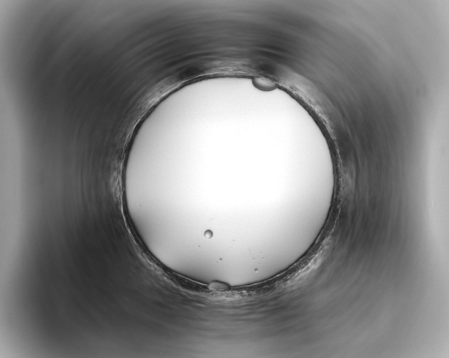 X0000093491049200711020948