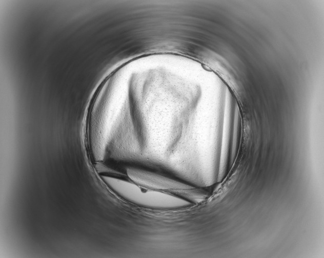 X0000093491052200711020948