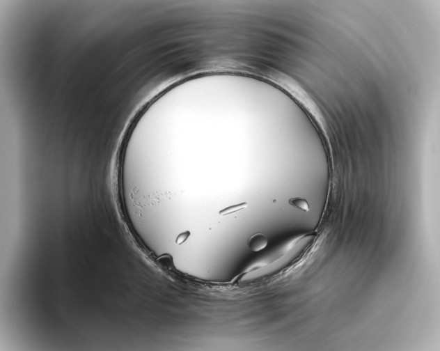 X0000093491053200711020948