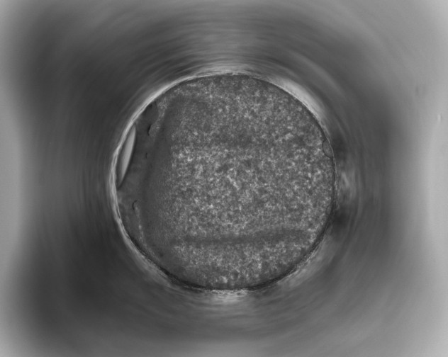 X0000093491055200711020948