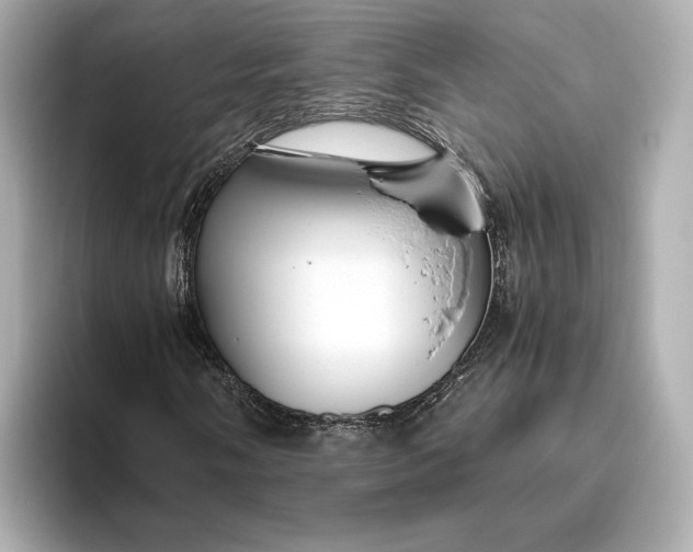 X0000093491058200711020947