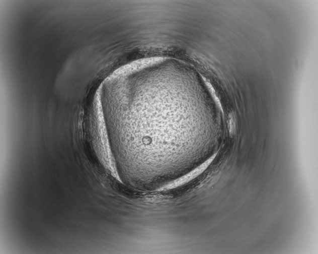 X0000093491059200711020947