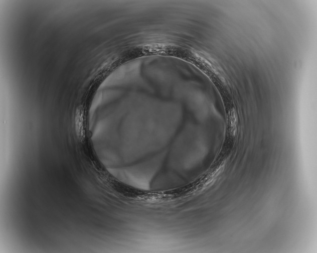 X0000093491060200711020947