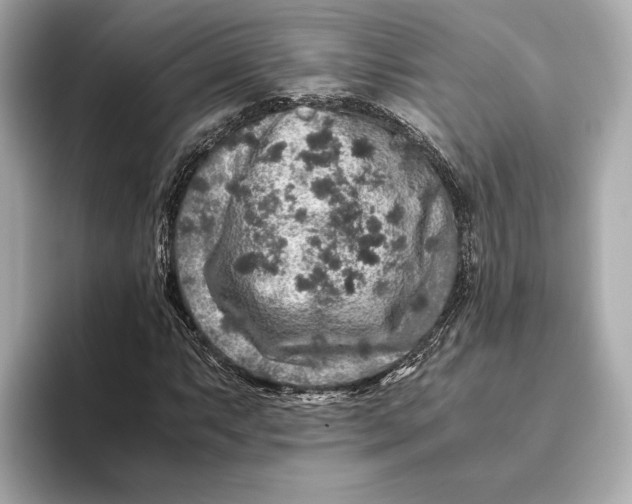 X0000093491063200711020947