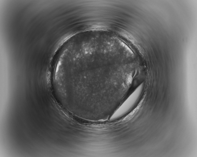 X0000093491066200711020947