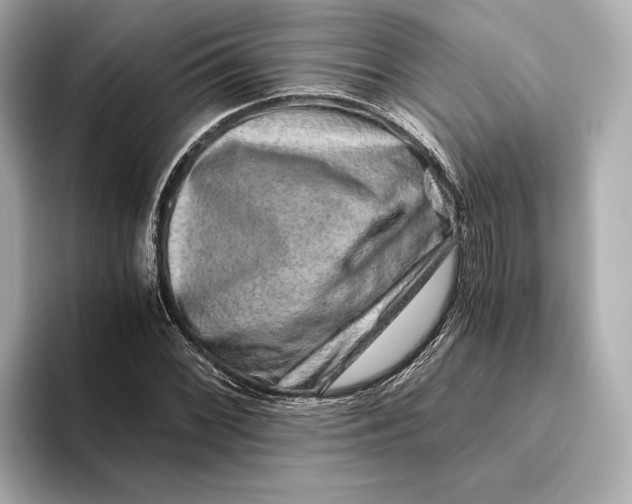 X0000093491068200711020947