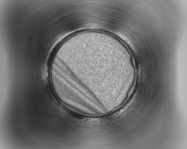 X0000093491070200711020947