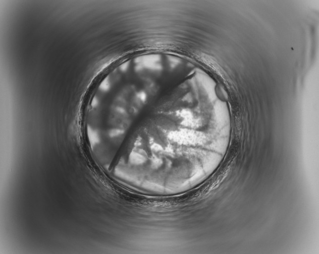 X0000093491071200711020947