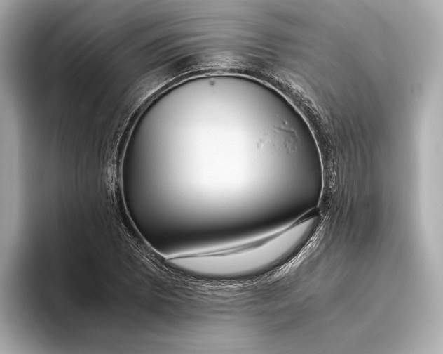 X0000093491073200711020947