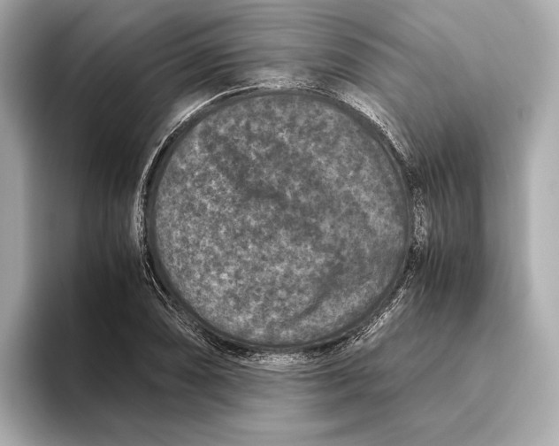 X0000093491074200711020947