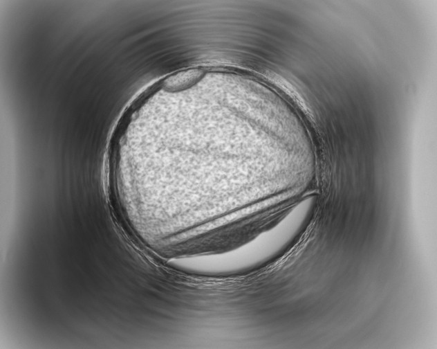 X0000093491076200711020947